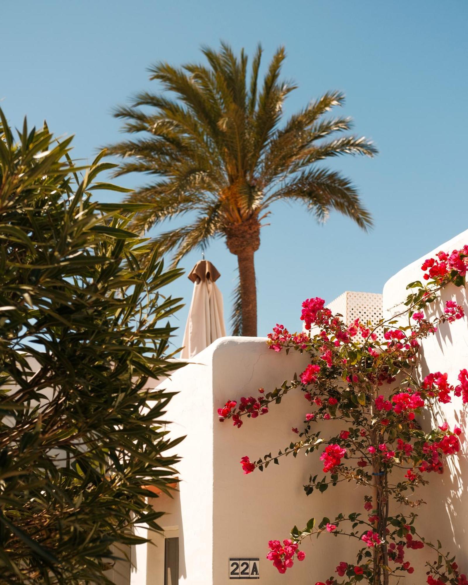 Unio Ibiza - Adults Only Hotel Cala Vadella  Room photo